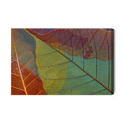 Ljuddämpande tavla - Colorful leaves on a macro