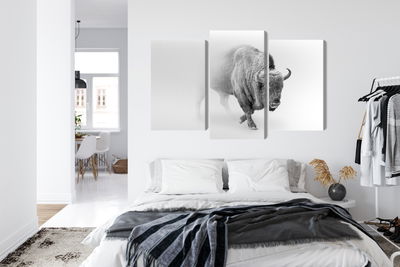 Ljuddämpande tavla - Bison in the fog 3d