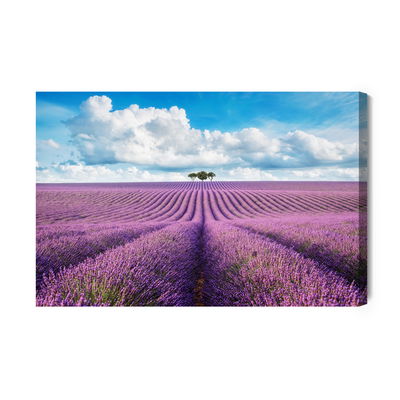Ljuddämpande tavla - Lavender field