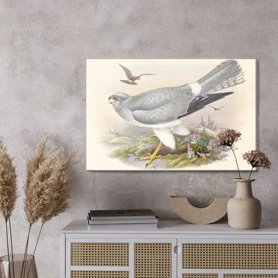 Ljuddämpande tavla - Birds of prey