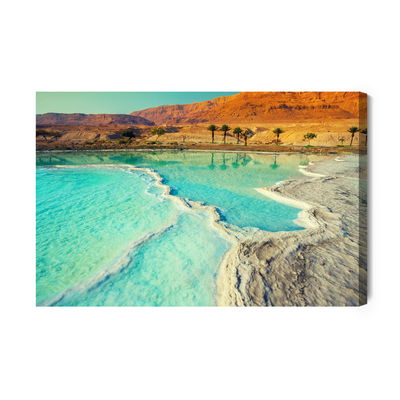 Ljuddämpande tavla - Dead sea beach