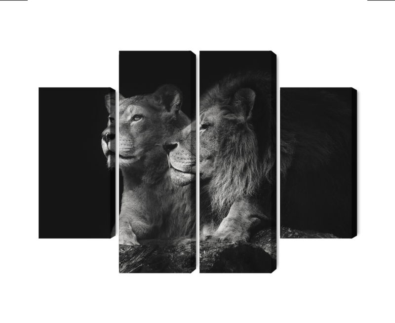 Ljuddämpande tavla - Lion and lioness on a black