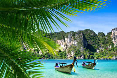 Ljuddämpande tavla - Tropical landscape 3d