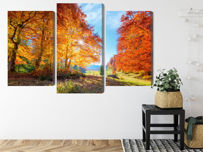 Ljuddämpande tavla - Colourful autumn trees