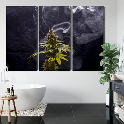 Ljuddämpande tavla - Cannabis plant on a smoky