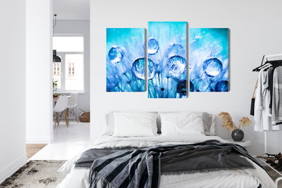 Ljuddämpande tavla - Dew drops on dandelion seeds