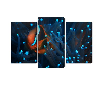 Ljuddämpande tavla - Clownfish in a 3d anemone
