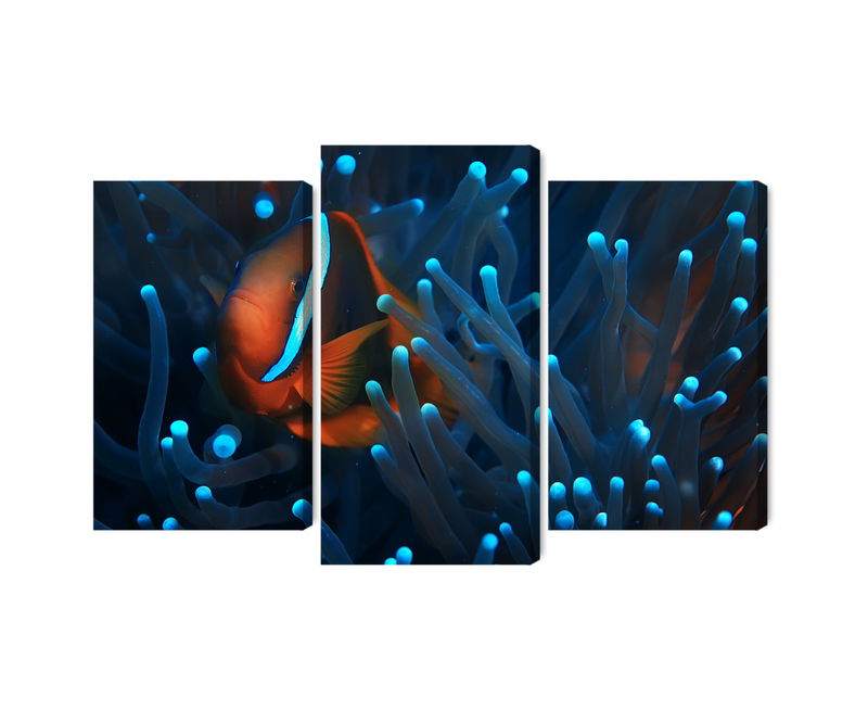 Ljuddämpande tavla - Clownfish in a 3d anemone