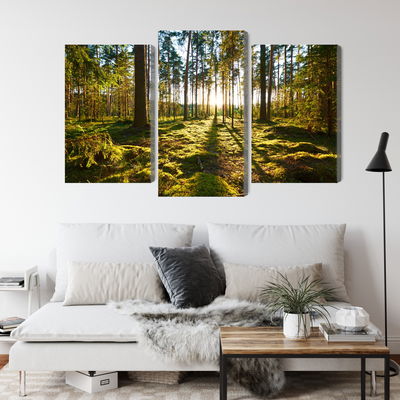 Ljuddämpande tavla - Forest landscape with sunset