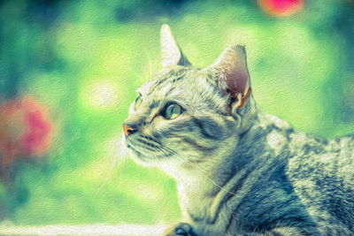 Ljuddämpande tavla - The cat looks like a painted