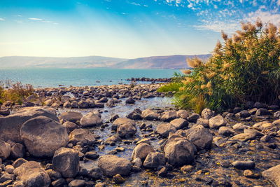 Ljuddämpande tavla - Sea and mountain landscape