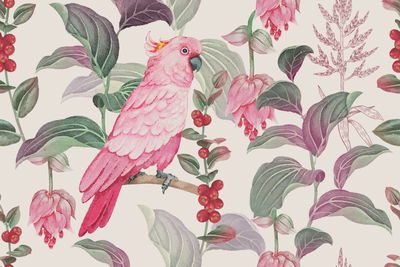 Ljuddämpande tavla - Of tropical pink parrot
