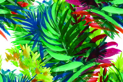 Ljuddämpande tavla - Colorful tropical leaves