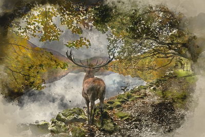 Ljuddämpande tavla - A deer on the river