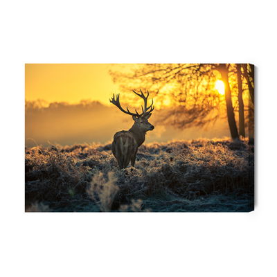 Ljuddämpande tavla - Deer in the morning