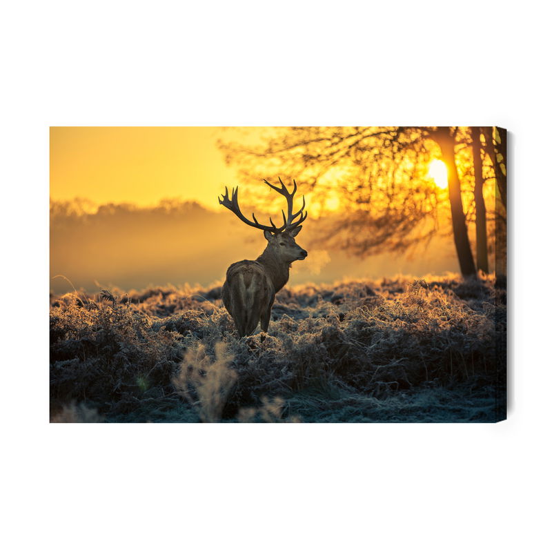 Ljuddämpande tavla - Deer in the morning