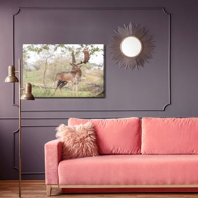 Ljuddämpande tavla - Adult deer with magnificent