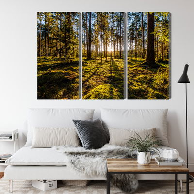 Ljuddämpande tavla - Morning sun rays