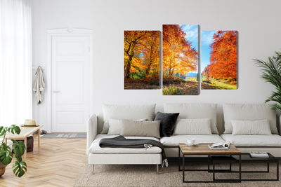 Ljuddämpande tavla - Colourful autumn trees