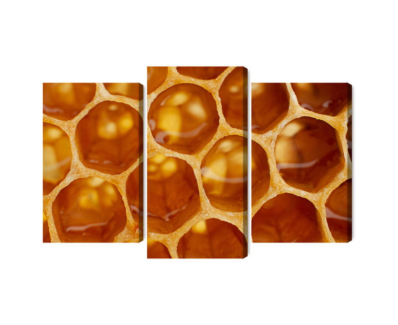 Ljuddämpande tavla - Honeycomb in macro scale