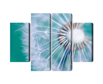 Ljuddämpande tavla - Dandelion on a macro scale