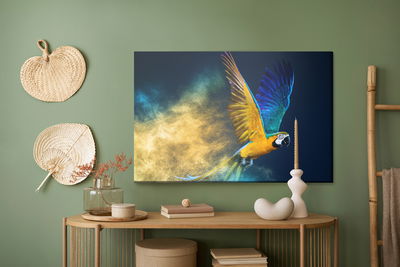 Ljuddämpande tavla - Colorful macaw parrot