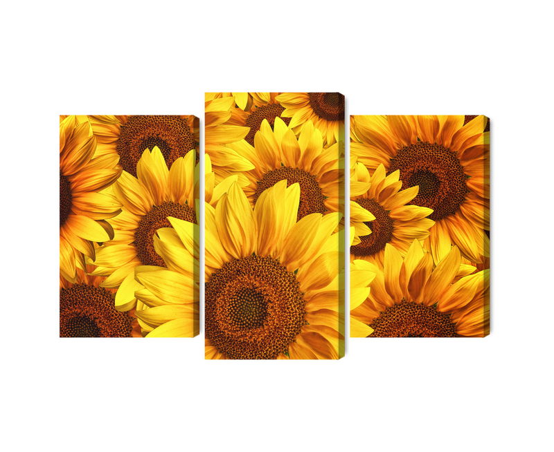 Ljuddämpande tavla - 3d sunflower flowers