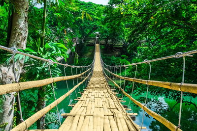 Ljuddämpande tavla - Bamboo bridge in the rain