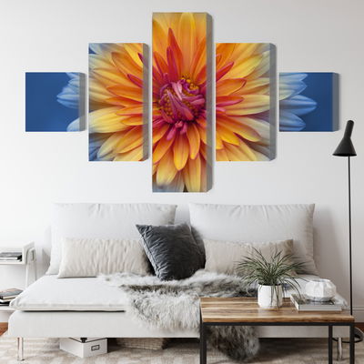 Ljuddämpande tavla - Chrysanthemum flower close