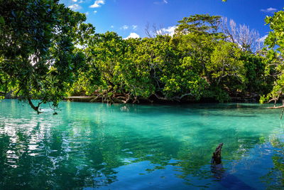 Ljuddämpande tavla - Tropical sea bay