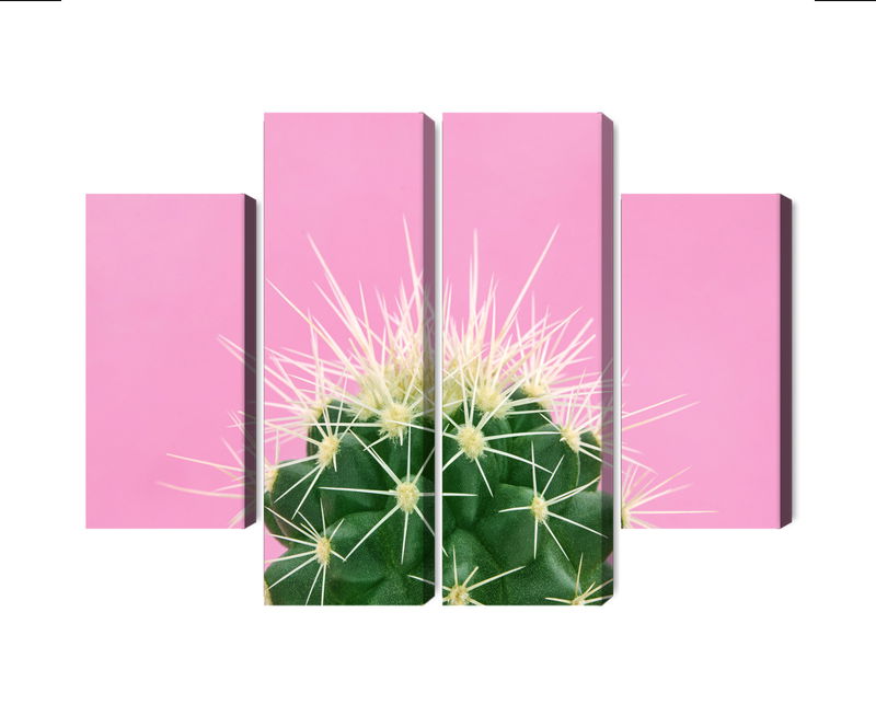Ljuddämpande tavla - Cactus on a pink background