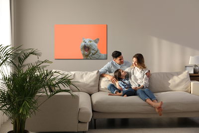 Ljuddämpande tavla - British cat on an orange