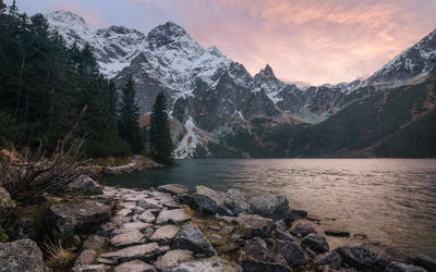 Ljuddämpande tavla - Lake and forest