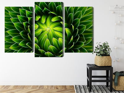 Ljuddämpande tavla - Green plant on a macro scale