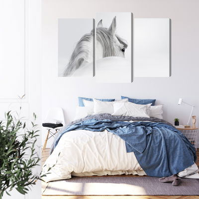 Ljuddämpande tavla - Andalusian horse in the fog