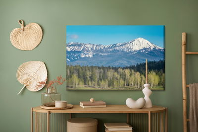 Ljuddämpande tavla - Grand teton national park