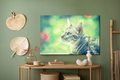 Ljuddämpande tavla - The cat looks like a painted