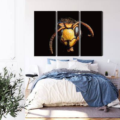 Ljuddämpande tavla - Hornet on a macro scale