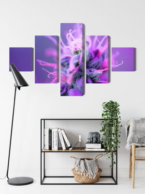 Ljuddämpande tavla - Macro plant on a pink-purple