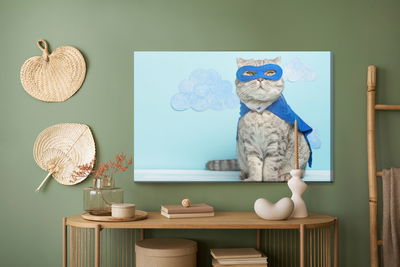 Ljuddämpande tavla - Gray cat with a mask