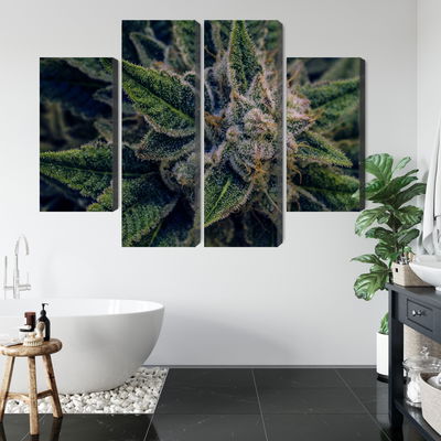 Ljuddämpande tavla - Cannabis plant close up