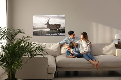 Ljuddämpande tavla - A deer against