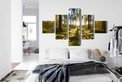 Ljuddämpande tavla - Forest landscape with sunset