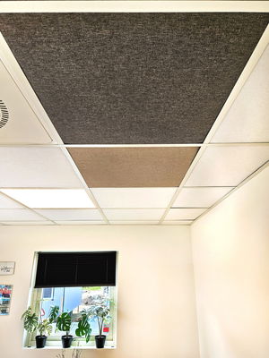 Ljudabsorbering till undertak - PES fabric för bärverkstak