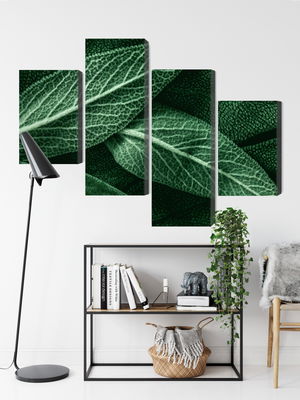 Ljuddämpande tavla - Salvia leaves on a macro