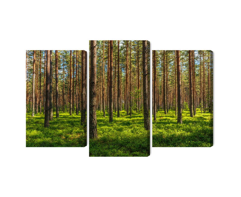 Ljuddämpande tavla - 3d pine forest