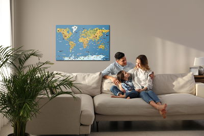 Ljuddämpande tavla - World map with animals