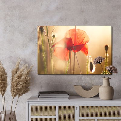 Ljuddämpande tavla - Poppies in the sun