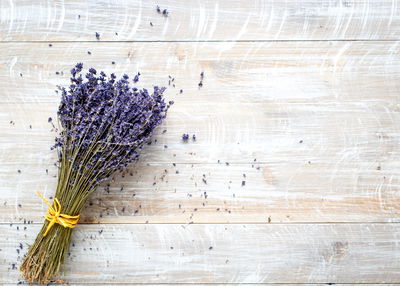 Ljuddämpande tavla - Lavender on a background