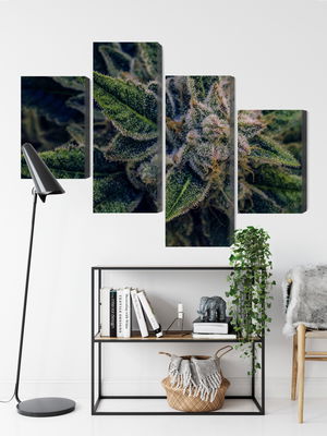 Ljuddämpande tavla - Cannabis plant close up